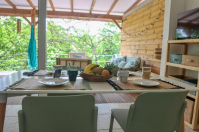 ALOE VERA T3 terrasse Pliane